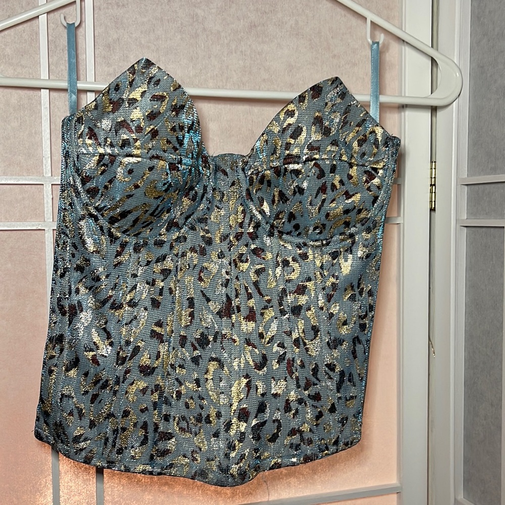 Small blue/sliver corset.